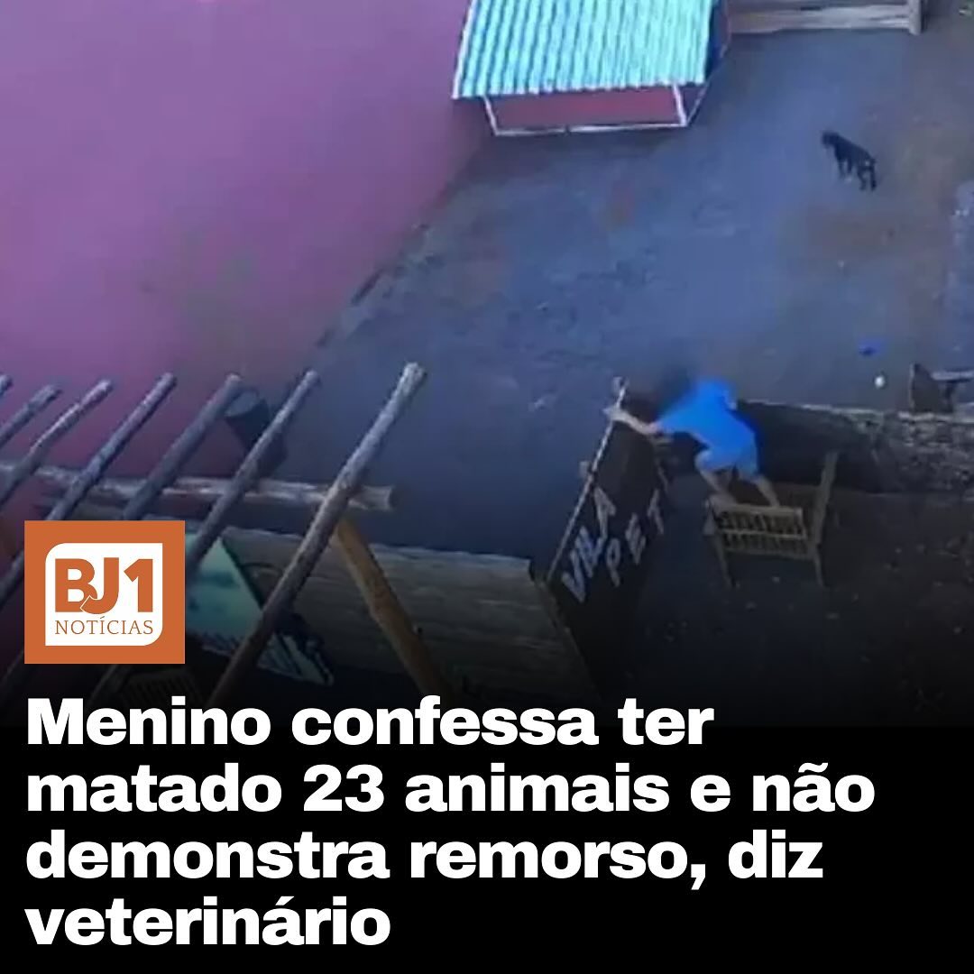 Menino confessa ter matado 23 animais e não demonstra remorso